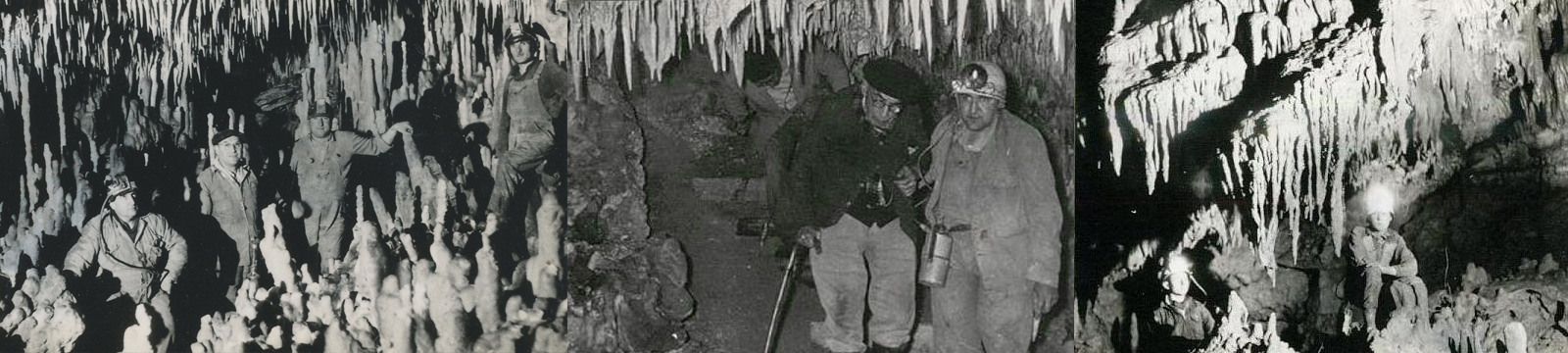 bas_historique2