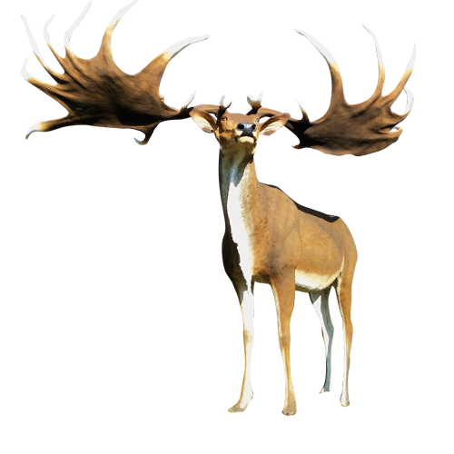 megaloceros